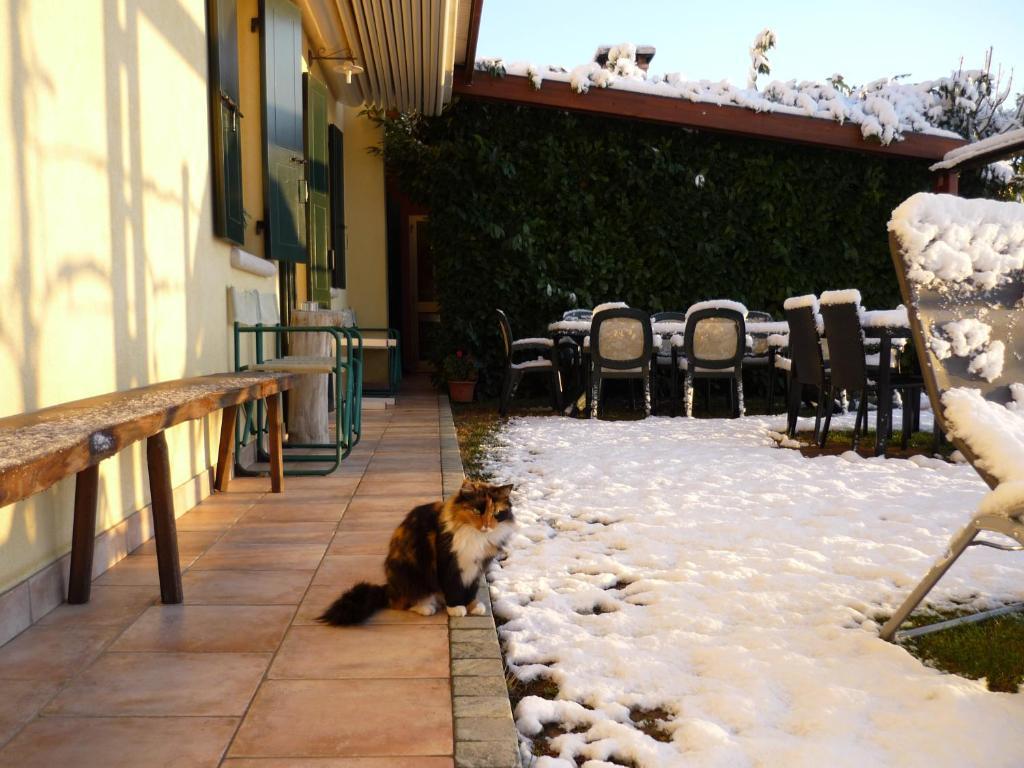 Maser Sant'Andrea Agriturismo Con Cantina Martignago Vignaioli Asolo Prosecco Docg Wines מראה חיצוני תמונה