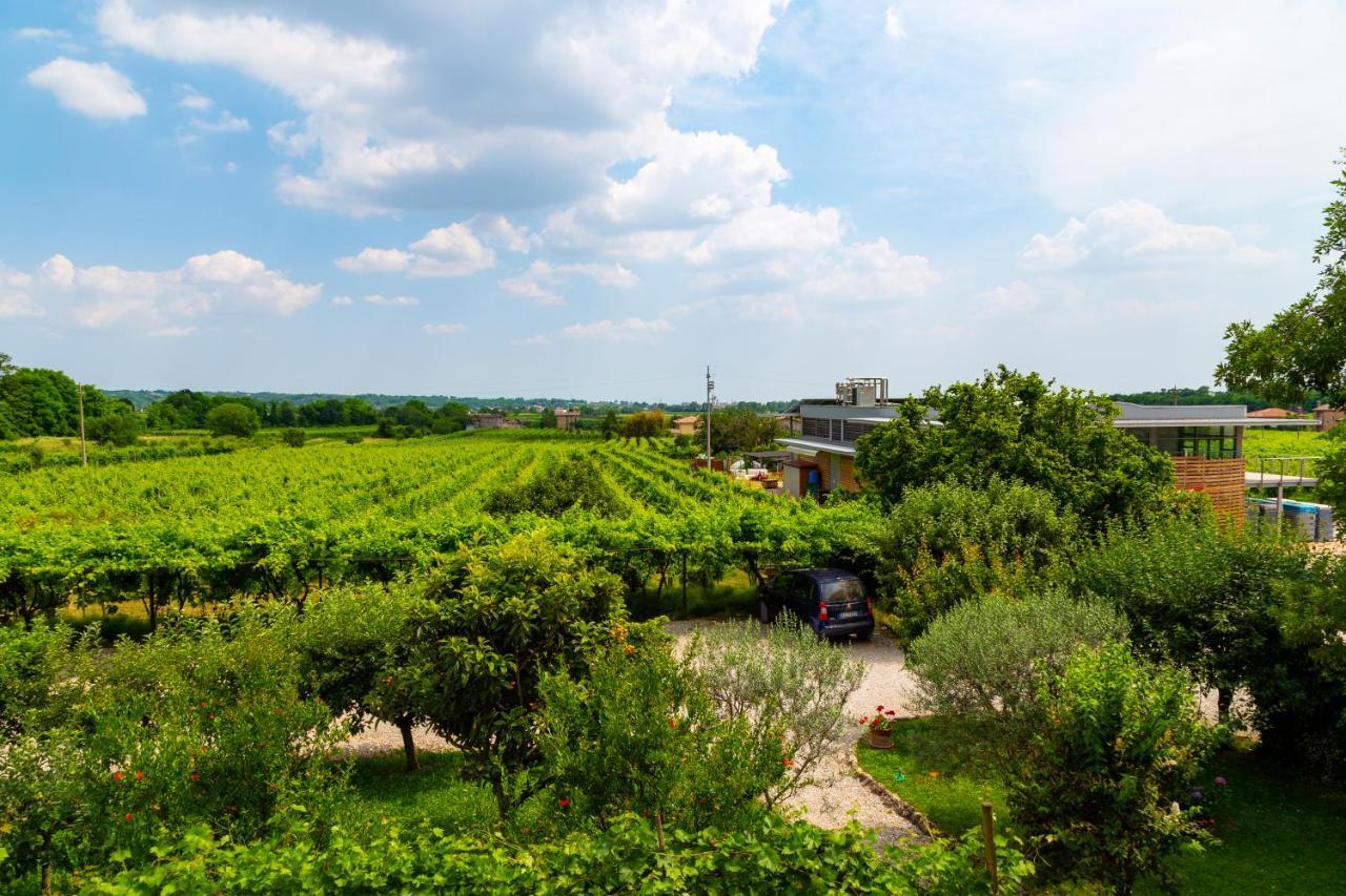 Maser Sant'Andrea Agriturismo Con Cantina Martignago Vignaioli Asolo Prosecco Docg Wines מראה חיצוני תמונה